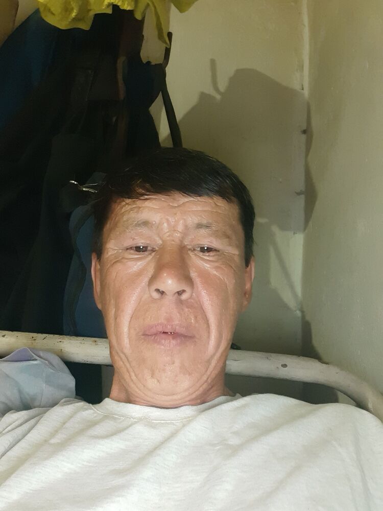  43648824  , 50 ,    