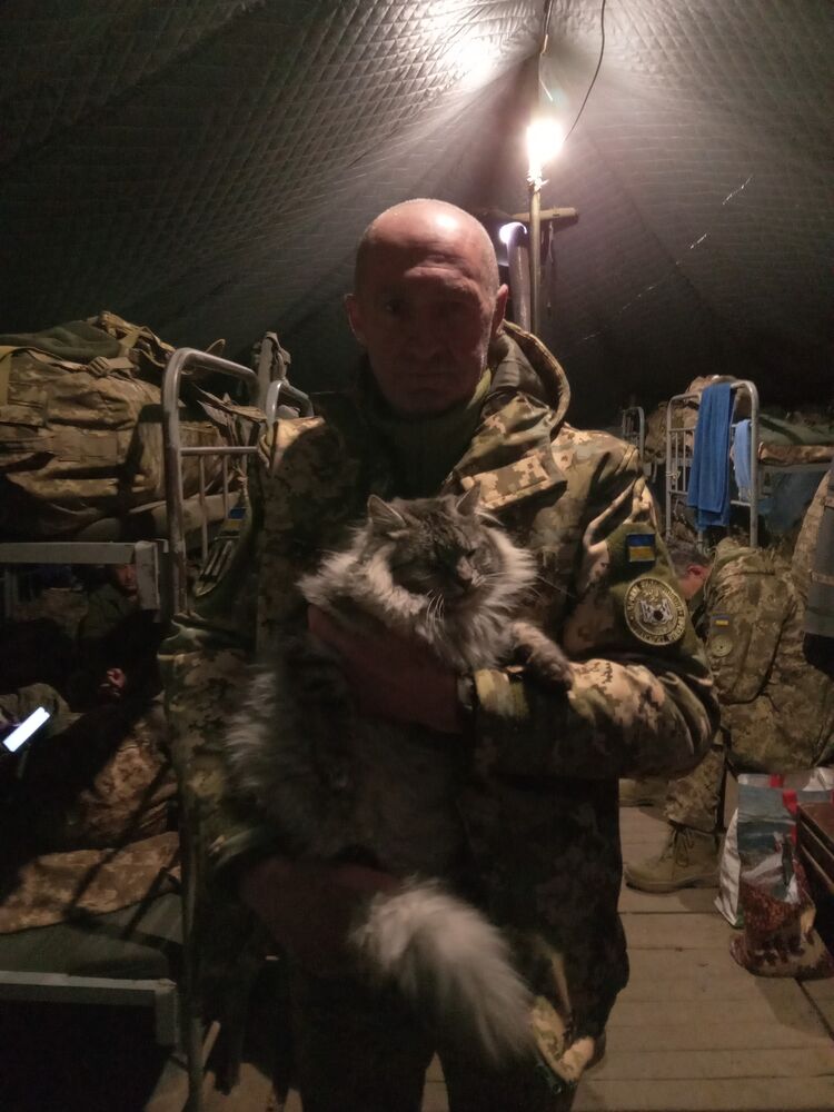 ���������� �����������, ���� ������� ������, 53 ����, ������������ ��� ������, ����� � ���������