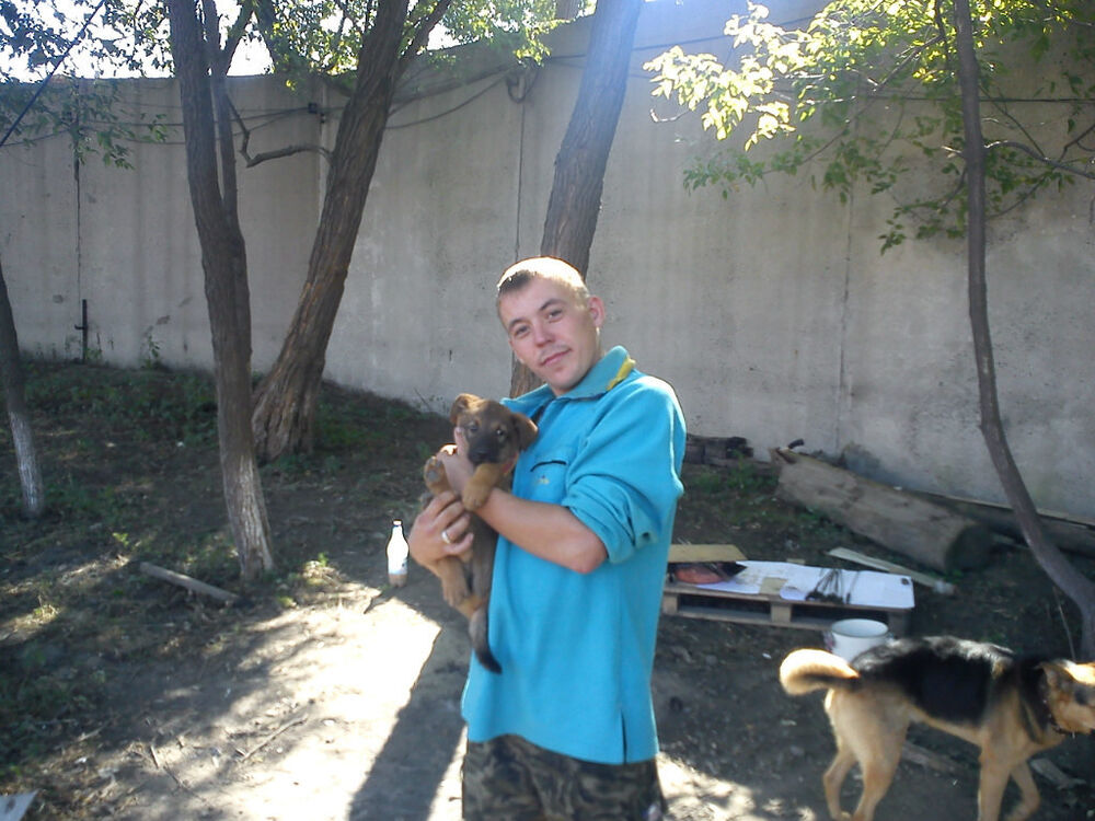 ���������� �����������, ���� ������� ������, 41 ���, ������������ ��� ������