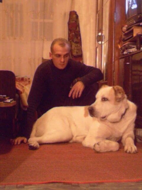  15671624  Sergey bess, 50 ,    