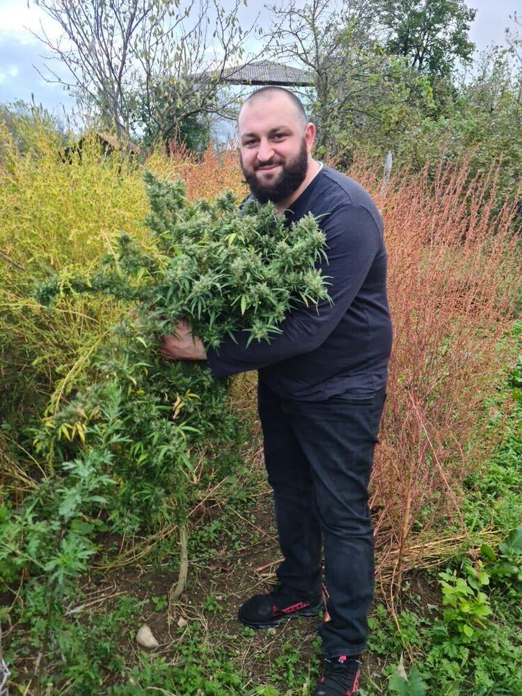 ���� 33750364 ������� �����, 36 ���, ���� ���������� � ������