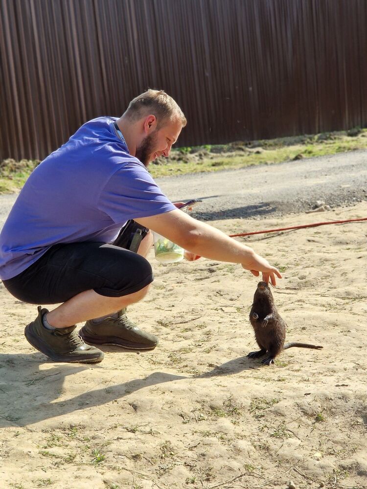 ���������� ���������, ���� ����� ������, 25 ���, ������������ ��� ������, ����� � ���������, c�������� ���������