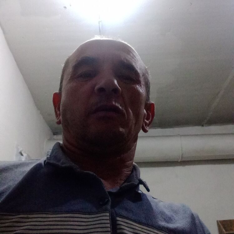  44657044  , 56 ,    