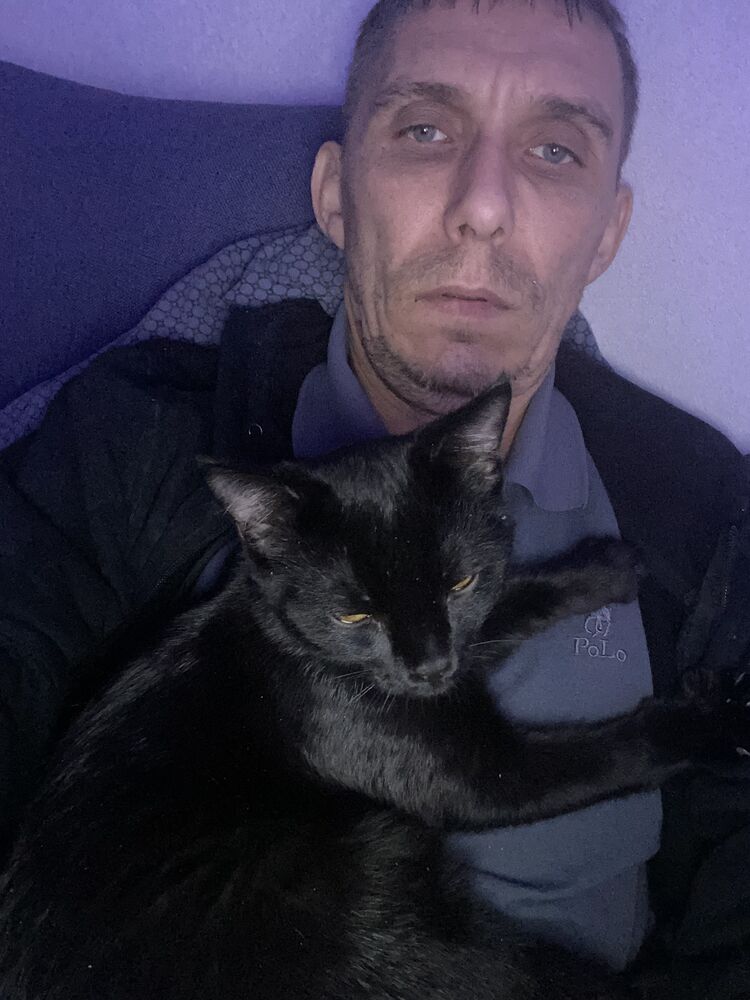 ���� 55242414 ������� �������, 44 ����, ���� ���������� � ���������