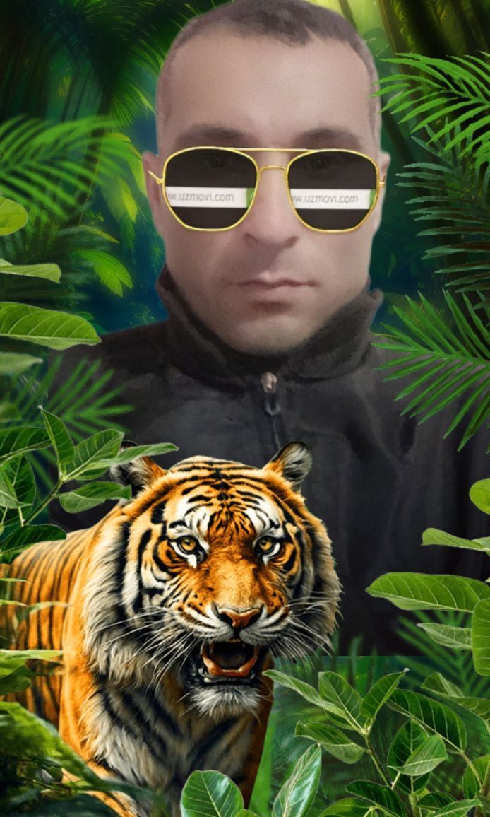  ,    , 38 ,   ,   