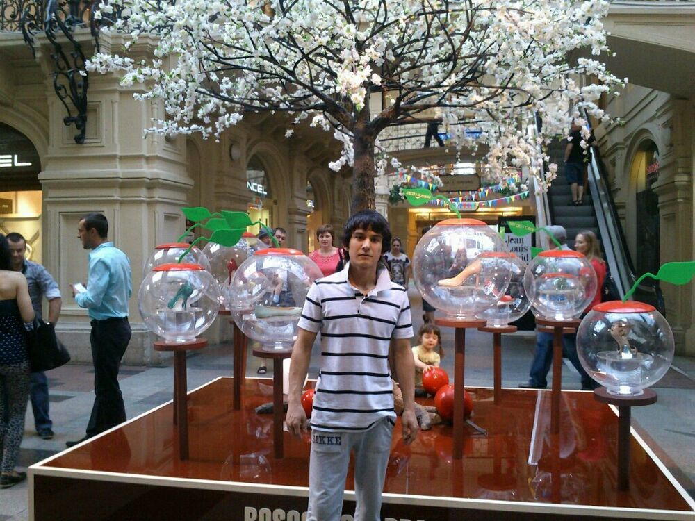 ���� 40619924 ������� ������, 33 ����, ���� ���������� � ������