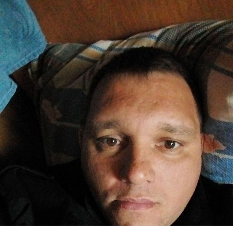  53681484  , 40 ,    