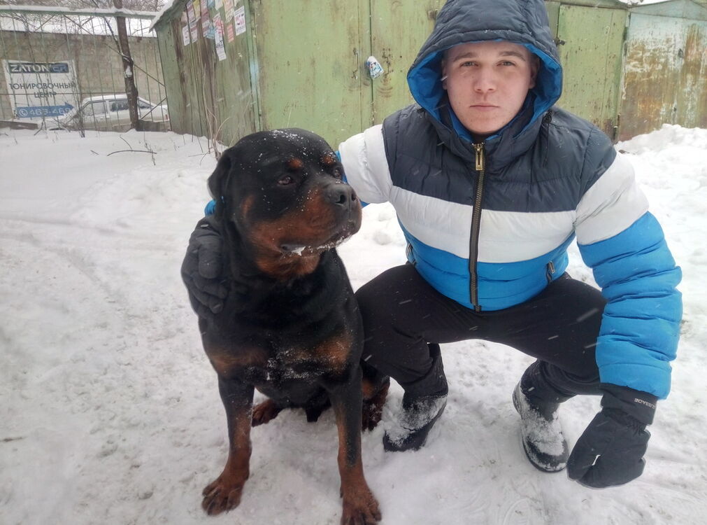 ���� 11760984 ������� ����, 29 ���, ���� ���������� � ��������