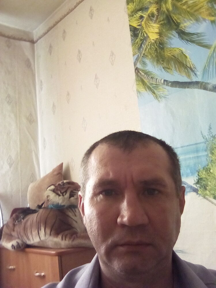  33489334  , 47 ,     