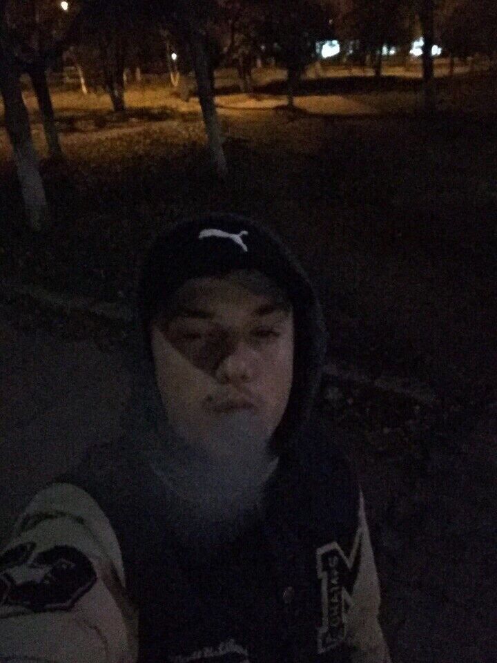  8395144  , 31 ,    