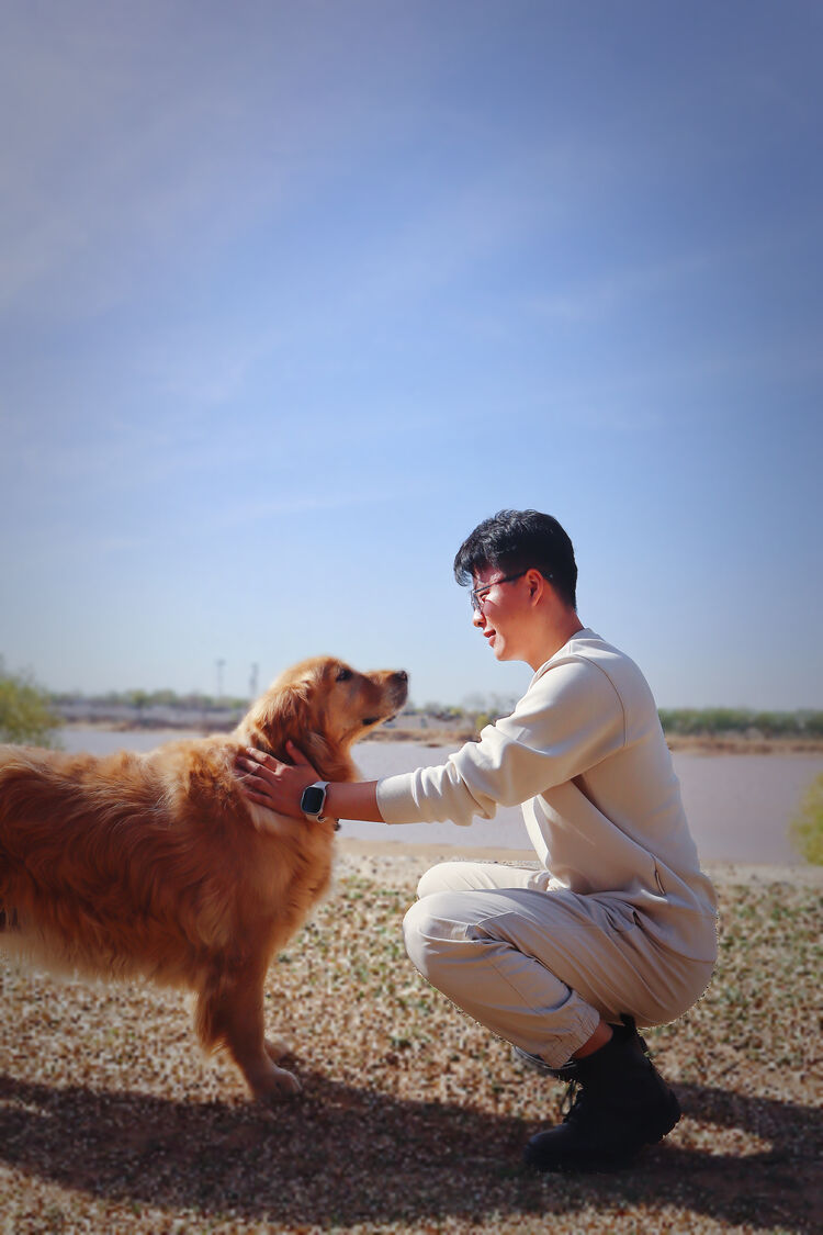 ,   Wei, 33 ,   ,   