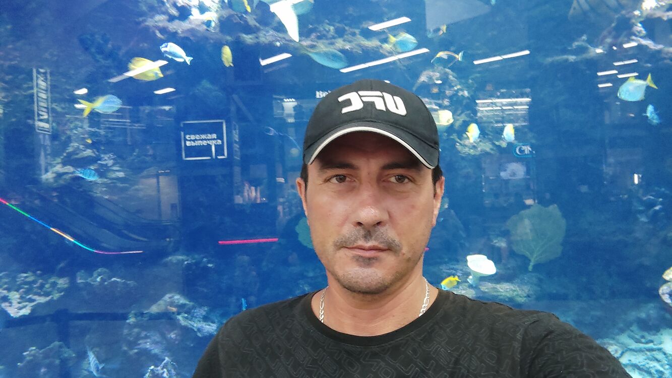 ���������� ��������, ���� ������� ��������, 48 ���, ������������ ��� ������, ����� � ���������, c�������� ���������, ���������