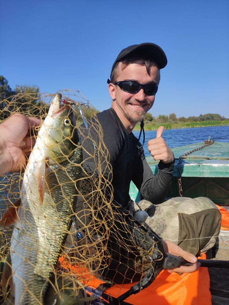 ���������� ������, ���� ����� ����, 25 ���, ������������ ��� ������, ����� � ���������, ���������