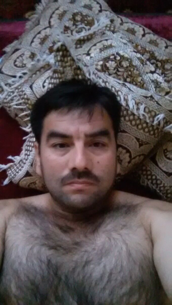 ���� 6340204 ������� 1559337�����, 50 ���, ���� ���������� � ��������