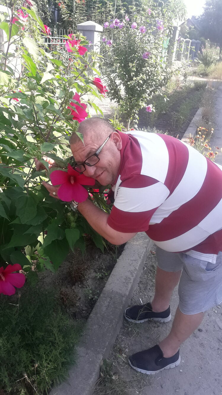 ���������� ���������, ���� ������� �������, 53 ����, ������������ ��� ������, ����� � ���������, c�������� ���������