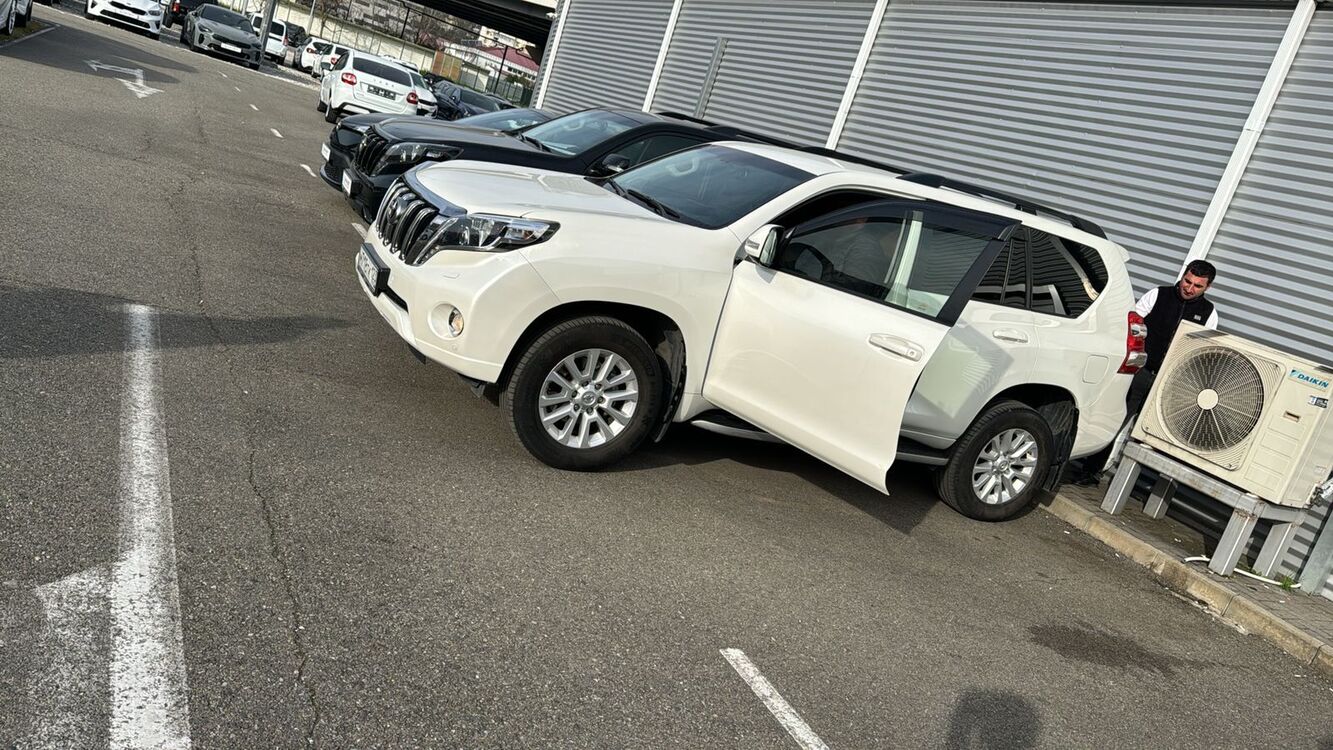 ���� 42507404 ������� ����, 40 ���, ���� ���������� � ������