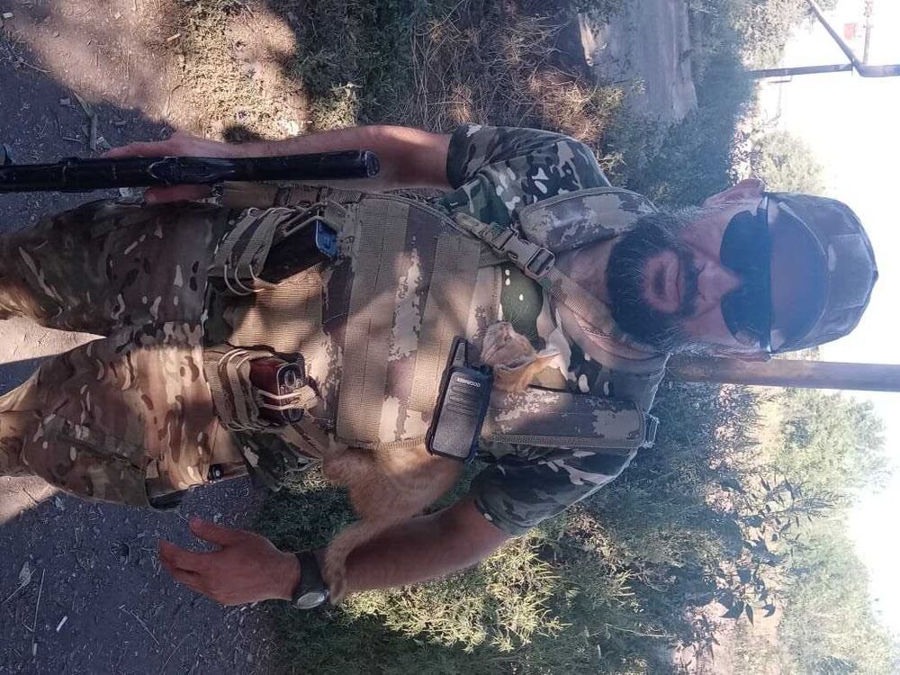 ���� 40879804 ������� �����, 44 ����, ���� ���������� � �������-��-����