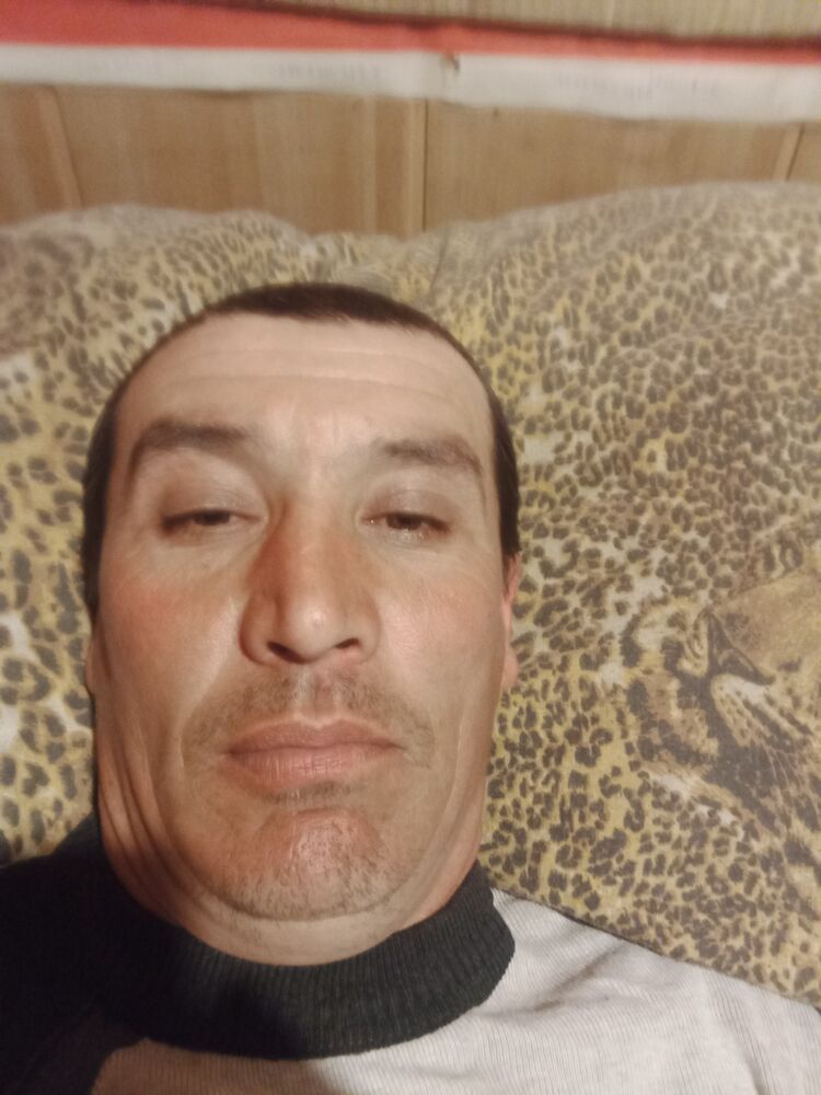  50463454  , 41 ,    