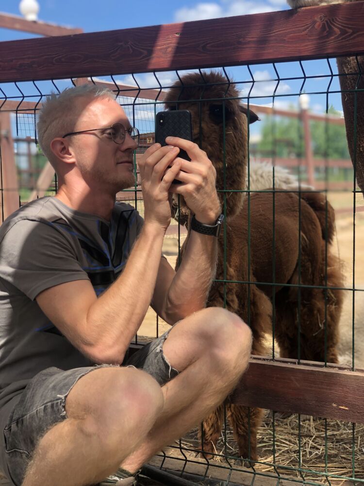 ���������� ������, ���� ������� ��������, 36 ���, ������������ ��� ������, ����� � ���������, c�������� ���������, ���������