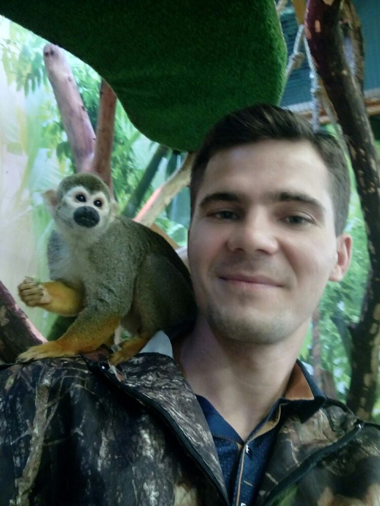 ���� 18303174 ������� ���������, 36 ���, ���� ���������� � ������������