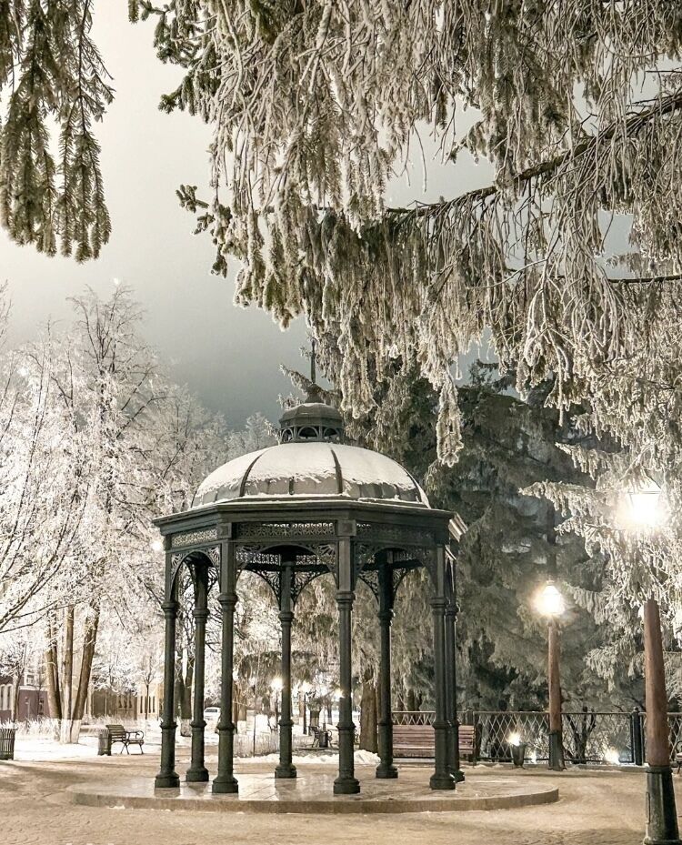  49630574  Irina, 52 ,    