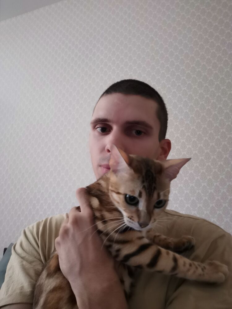 ���� 24898384 ������� ������, 31 ���, ���� ���������� � �������������