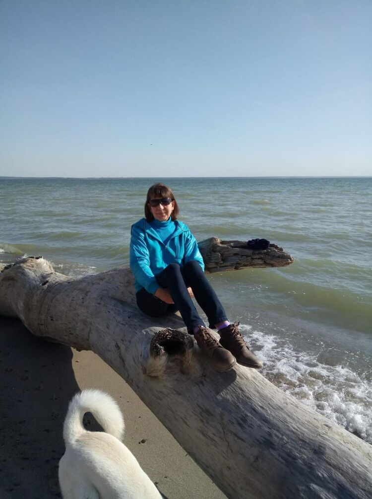  ,   , 61 ,  