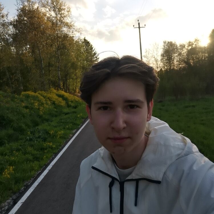  28040334  , 21 ,    