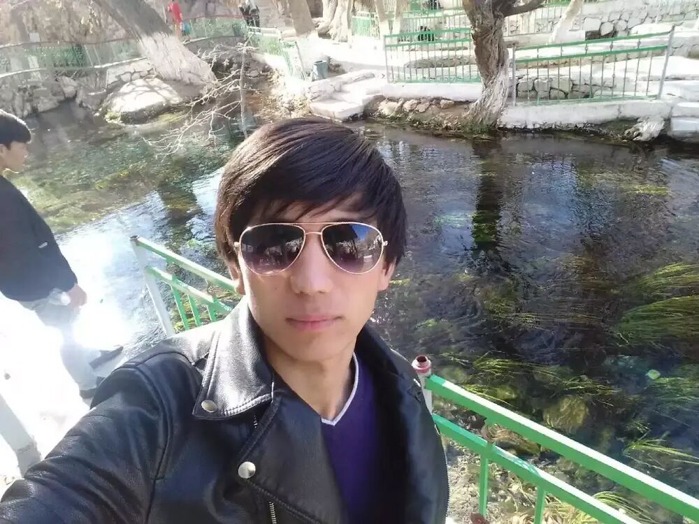  33265324  , 29 ,    -