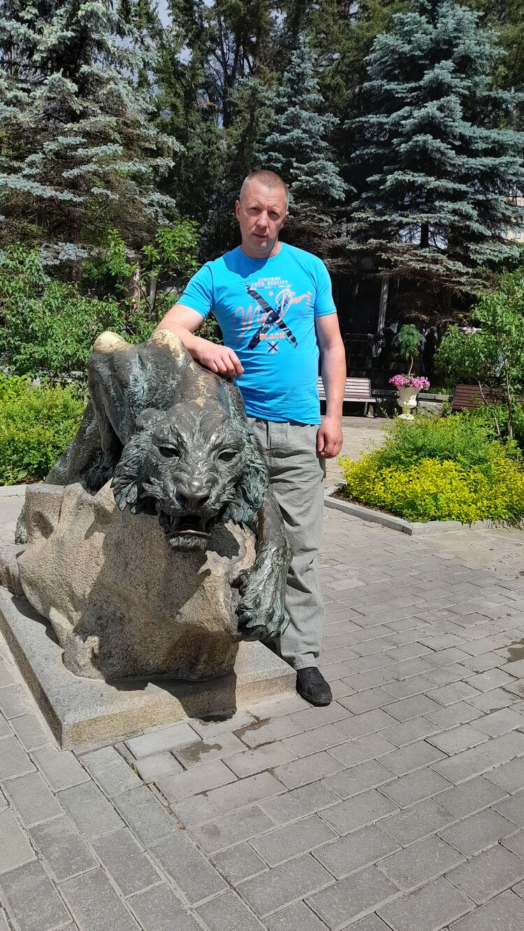 ���� 27481164 ������� ������, 44 ����, ���� ���������� � ���������