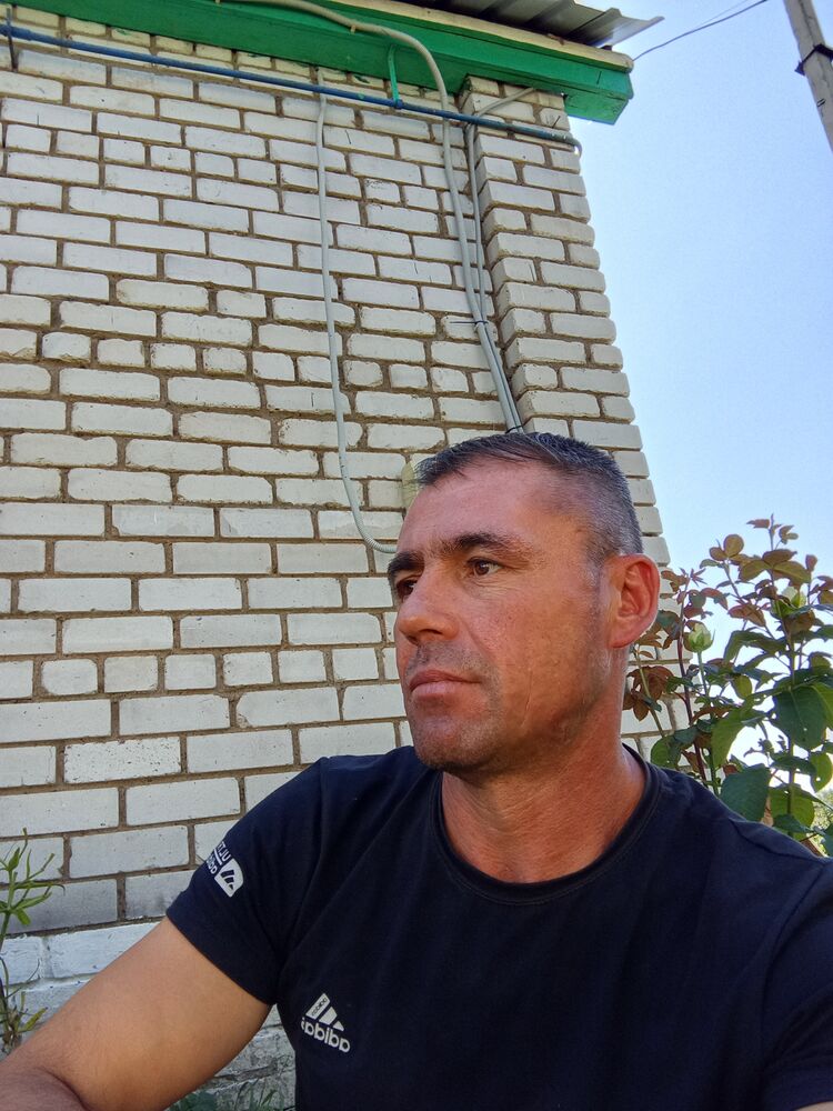  53288514  , 41 ,    