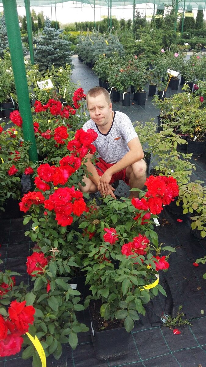  ,   Aleks, 32 ,   