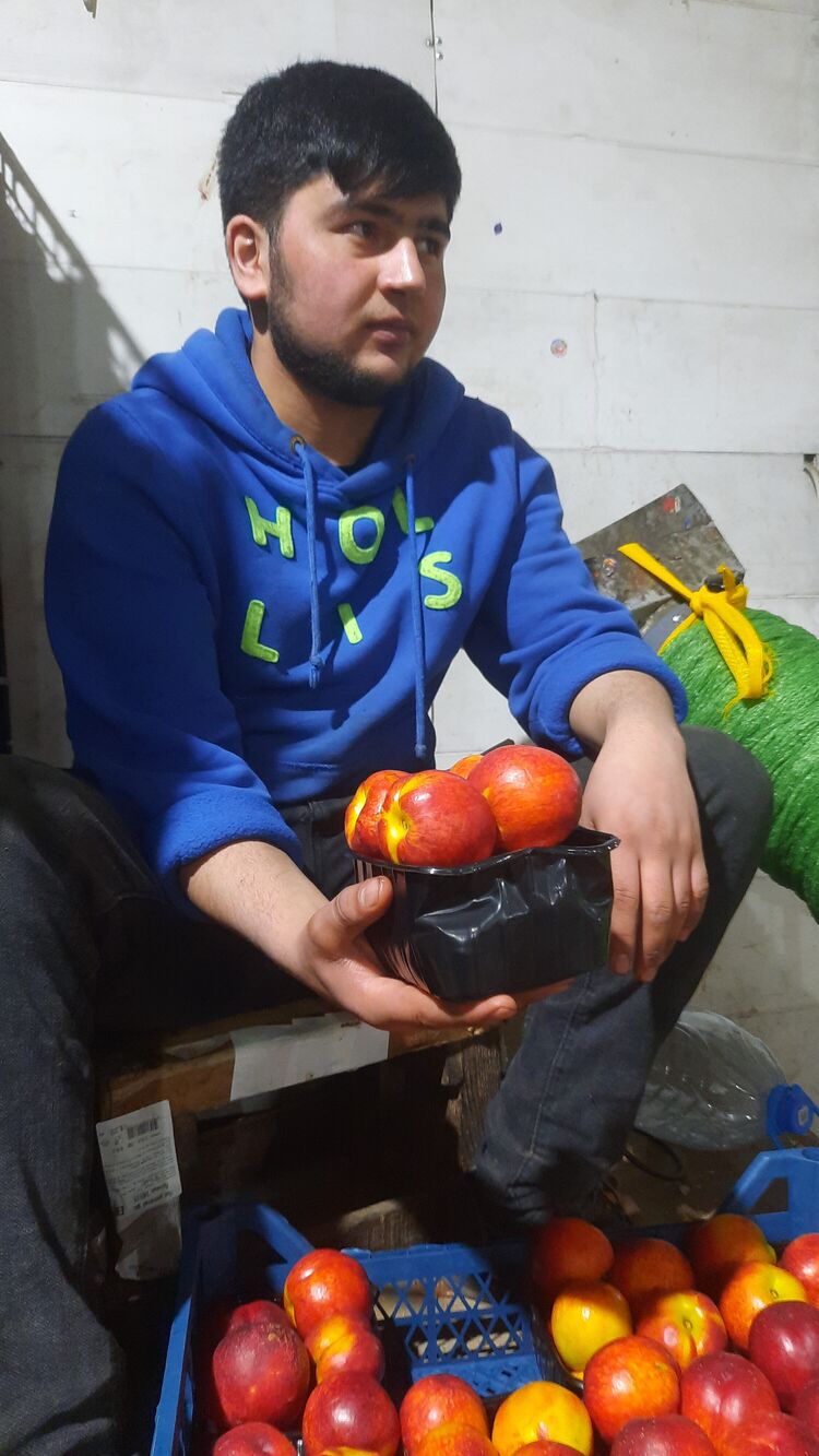 ���� 44158164 ����� ����, 21 ���, ���� ���������� � ������