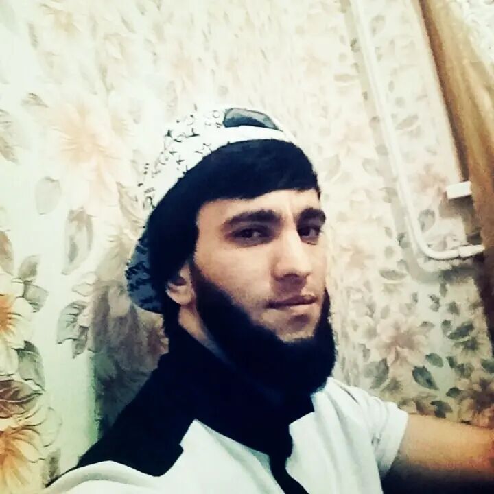  43667174  , 33 ,    