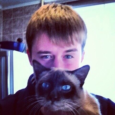  5386904  , 29 ,    --