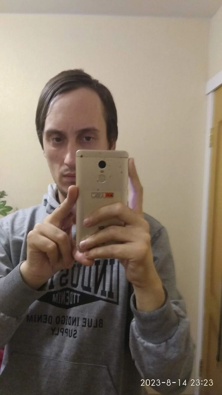  43417004  , 29 ,    