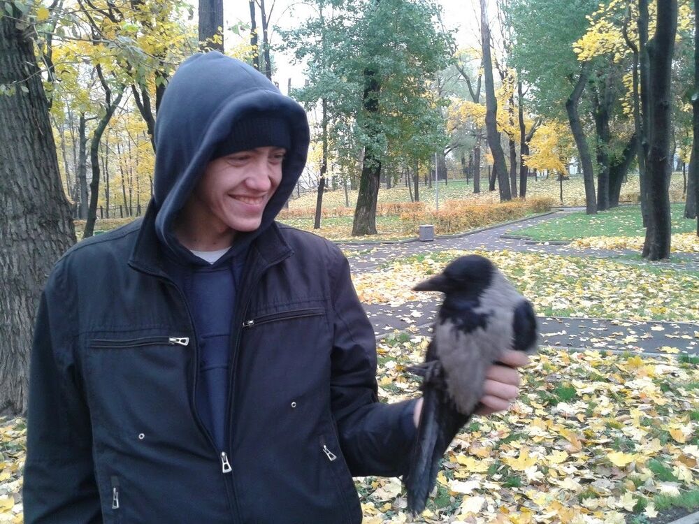 ���������� ����������, ���� ������� ���������, 35 ���, ������������ ��� ������, ����� � ���������