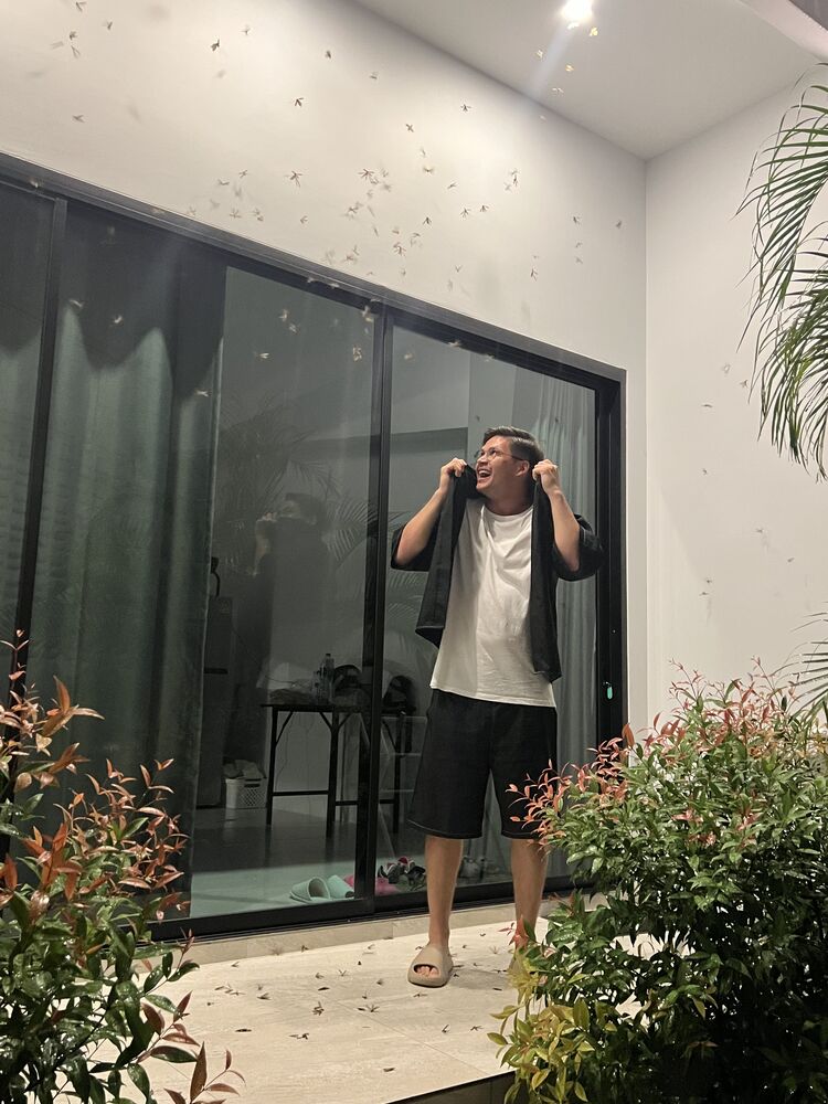 ���� 52469364 ������� �����, 31 ���, ���� ���������� � ������