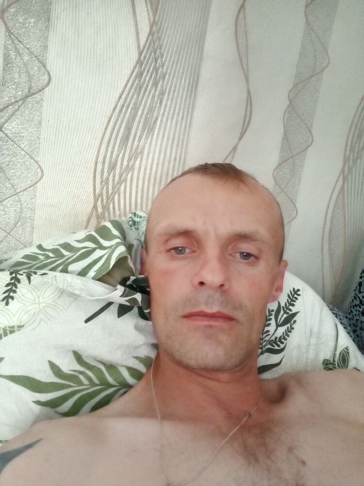  28181624  , 40 ,    