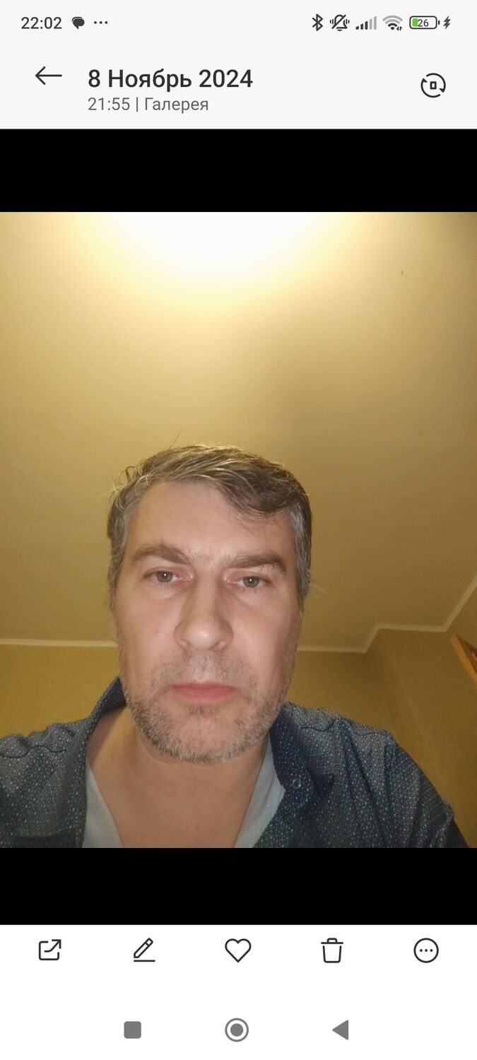  47445394  , 43 ,    
