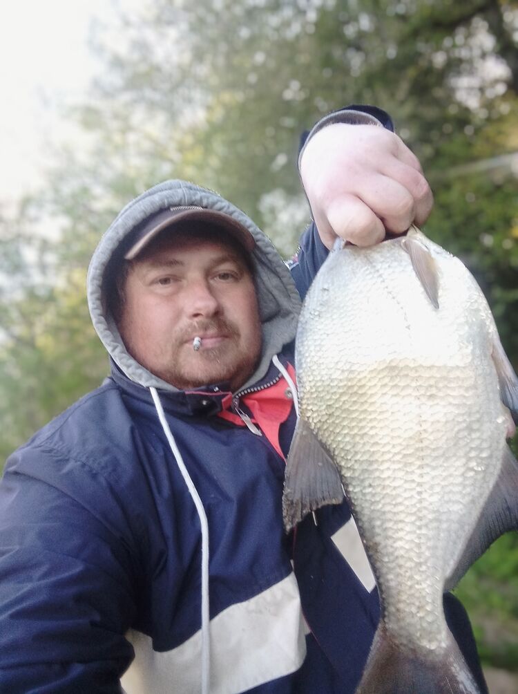 ���������� ������, ���� ������� ����, 38 ���, ������������ ��� ������, ����� � ���������