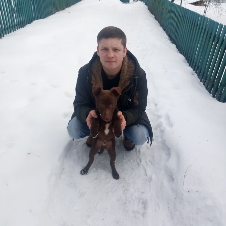 ���� 17547734 ������� ������, 32 ����, ���� ���������� � �����