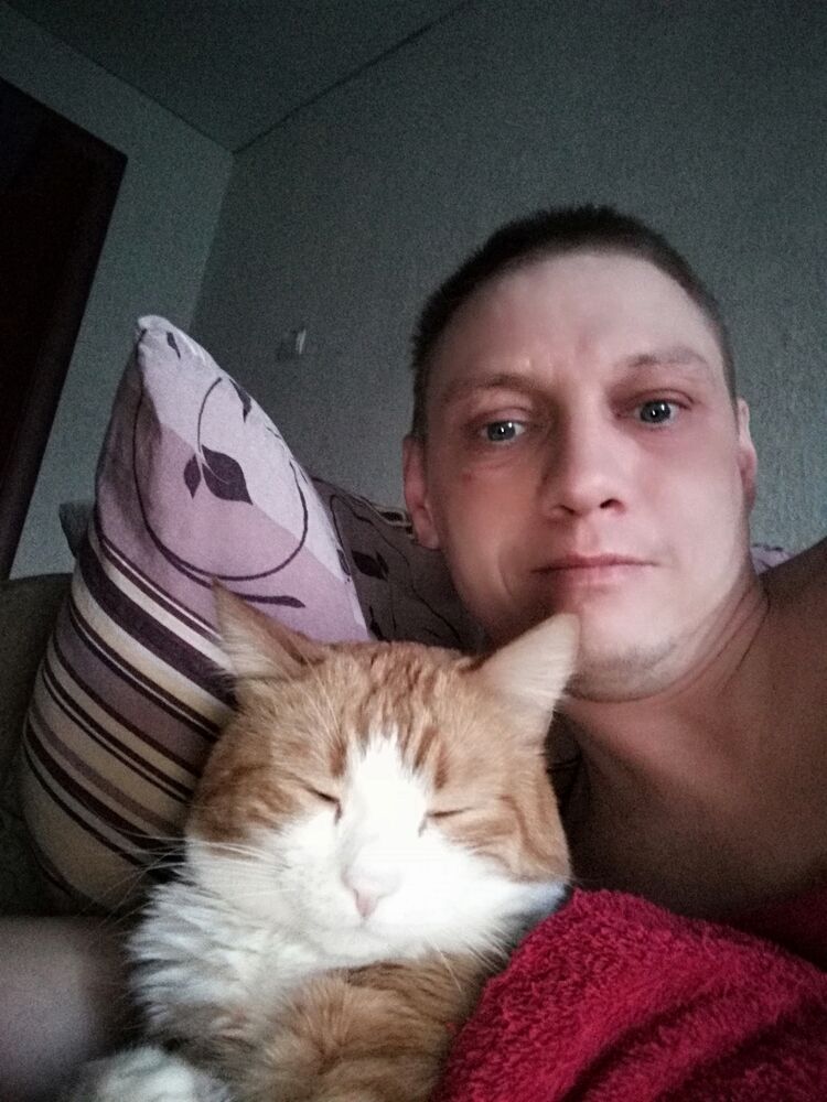 ���� 25371194 ������� ����, 44 ����, ���� ���������� � �����