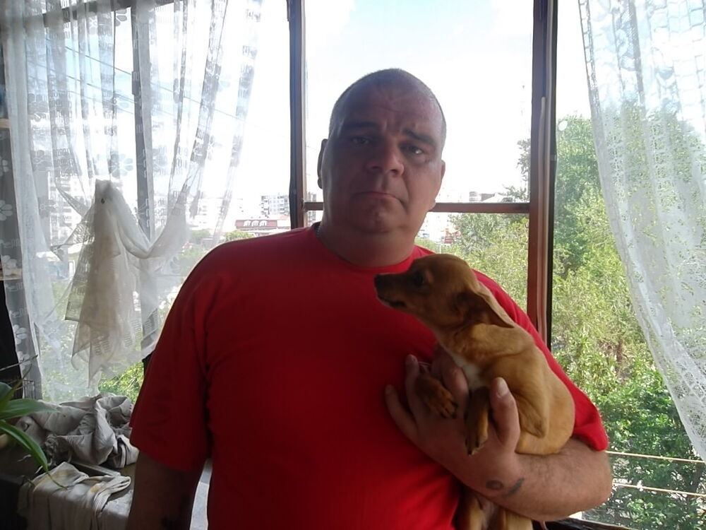  ,   , 53 ,   