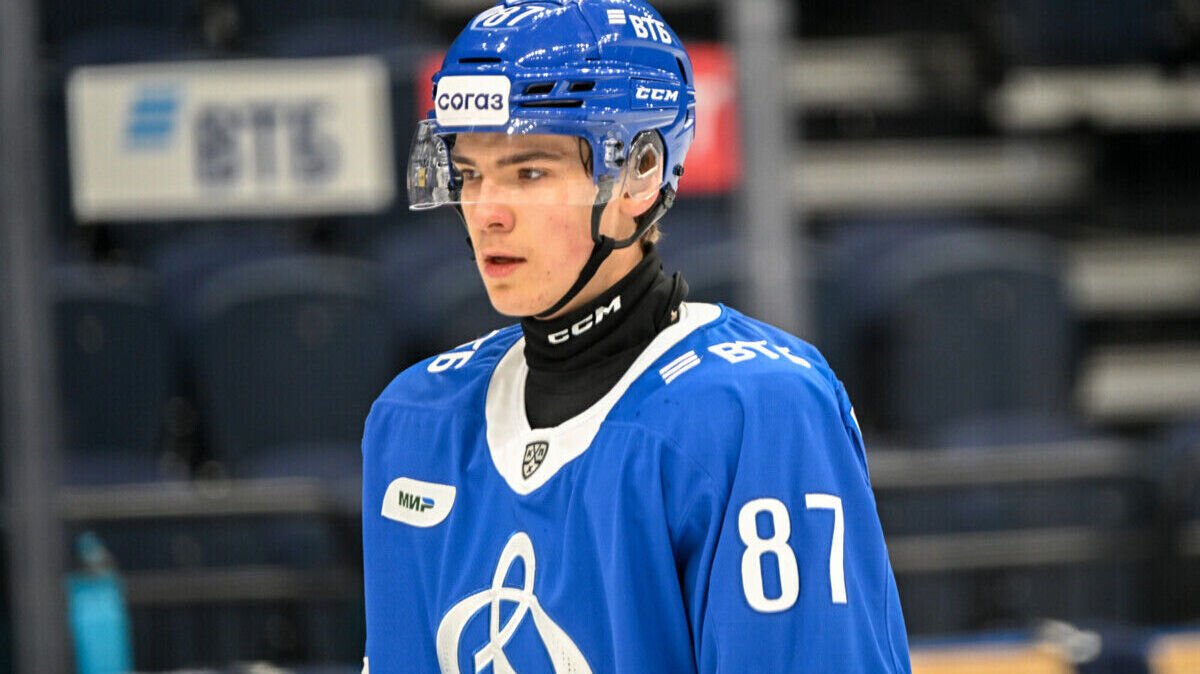  51300394  , 19 ,    -