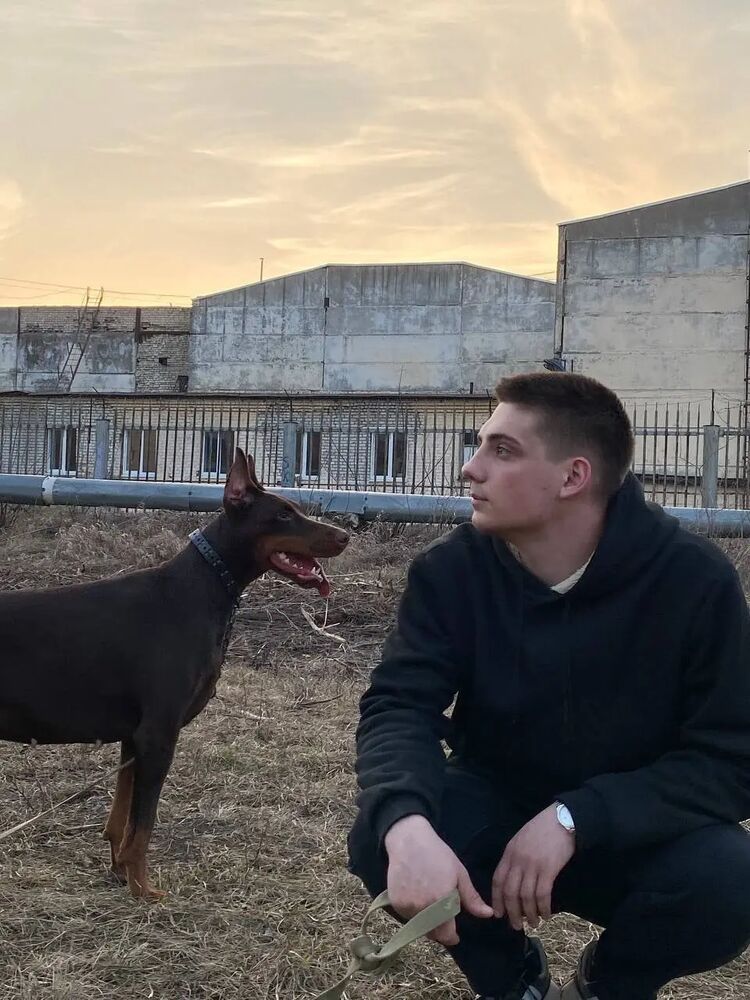 ���� 38685044 ����� ���������, 23 ����, ���� ���������� � ��������