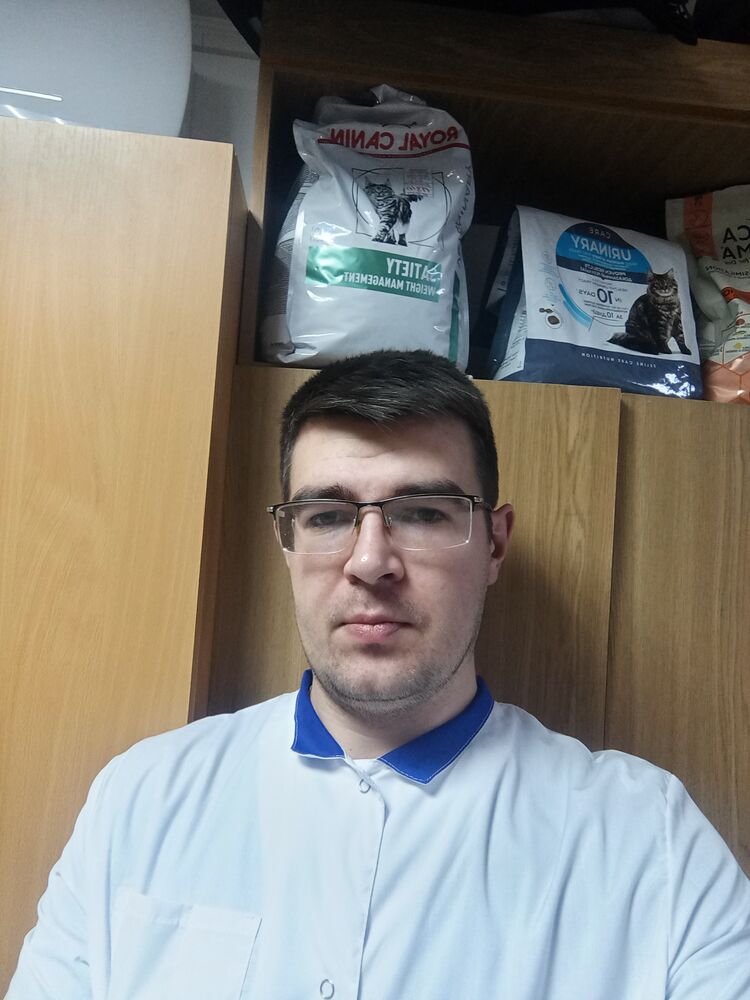 ���� 48554104 ������� ����, 29 ���, ���� ���������� � ��������