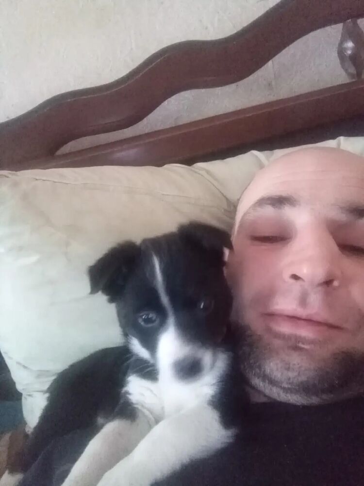  27544844  Roman, 42 ,    