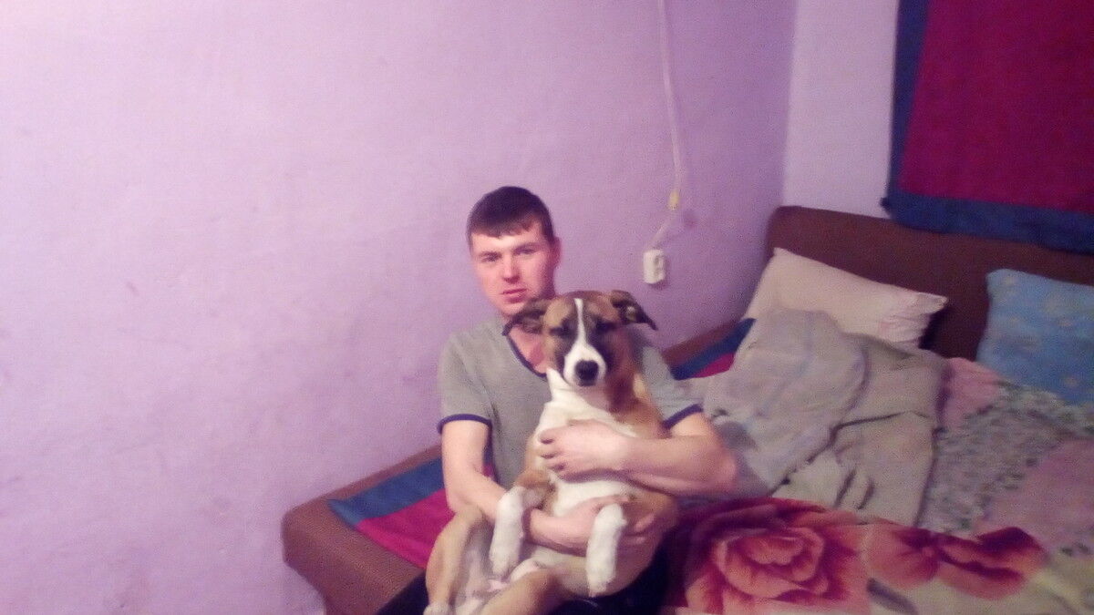 ���� 11511324 ������� ������, 36 ���, ���� ���������� � ��������������