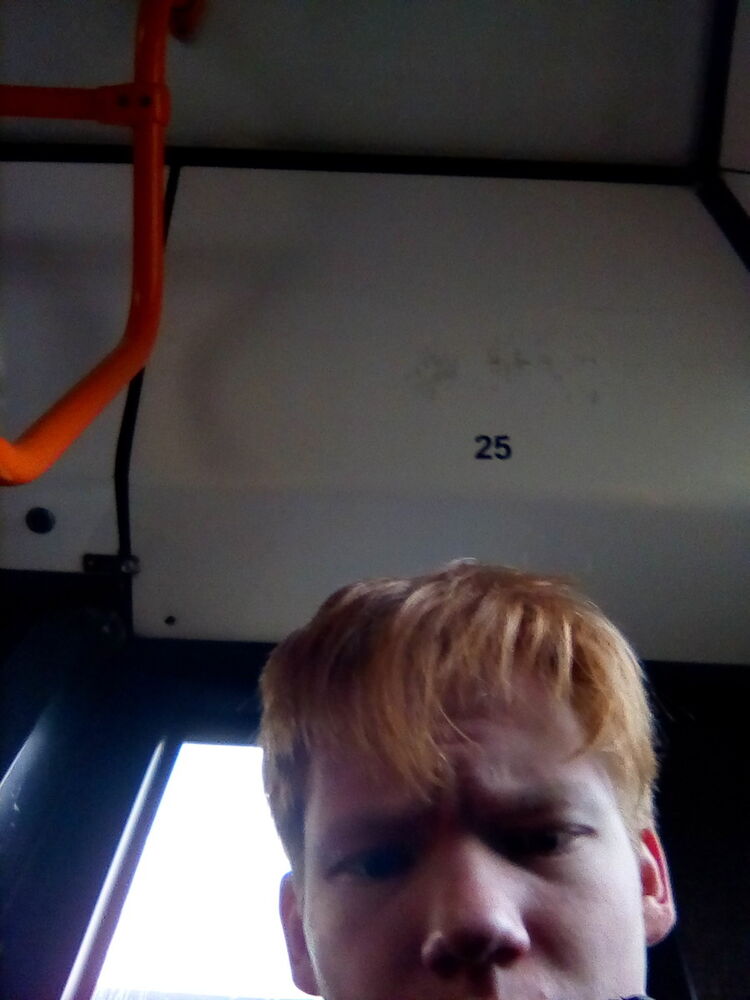  19034754  , 25 ,    